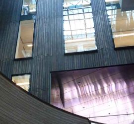 Man in office window